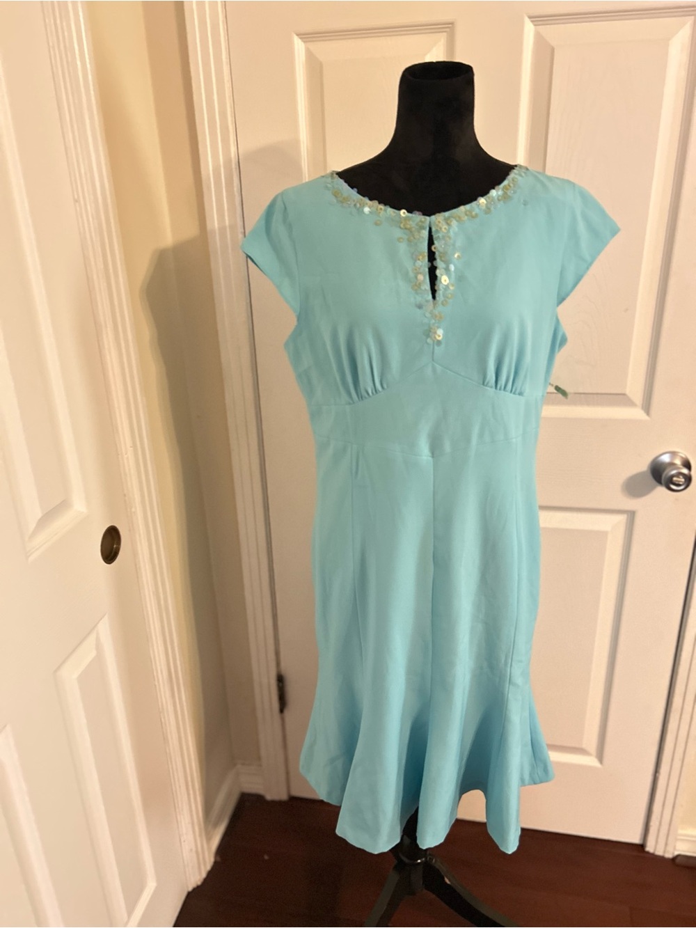 Aqua Embellished Cap Sleeve Midi Dress